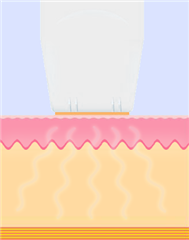 ��ϸ��,���׼ު�,���׹��,�ޗ�,�����